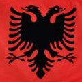 ALL / PLN -  lek albanski Kurs detaliczny